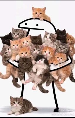 👮♀️🕵️♀️👸🏍️💋💘💍