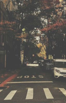 「0301 」 Mùa thu vàng.