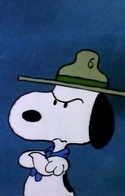 0710. người yêu cũ