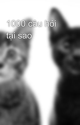 1000 câu hỏi tại sao