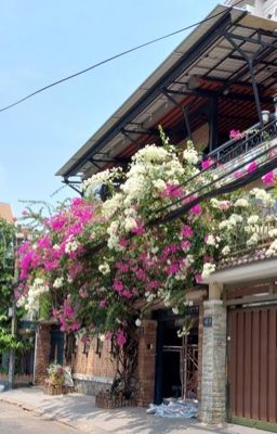 [12 chòm sao] Nhà Mướn Hoàng Đạo