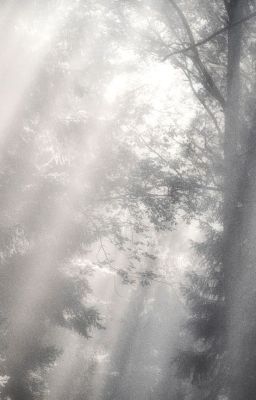 |12cs - bl| Crisi esistenziale