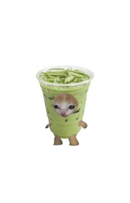 ❁ 12cs -- Coffee and chill ❁