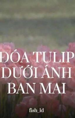 [12cs] Đoá Tulip Dưới Ánh Ban Mai