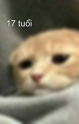 17 tuổi