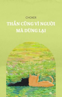 18:00 l Meow Amor - Thần cũng vì người mà dừng lại