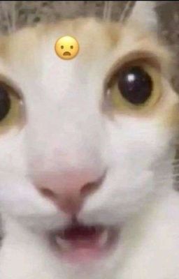 (18+) Đã đủ tuổi?