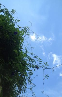 2018 của tôi
