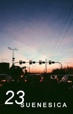 23