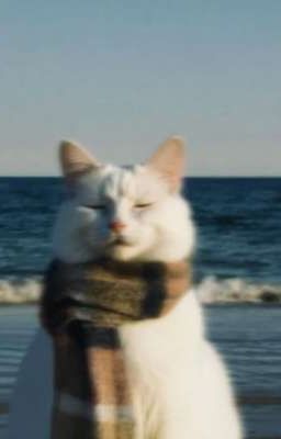 24h Sau khi tôi rời khỏi thế giới này