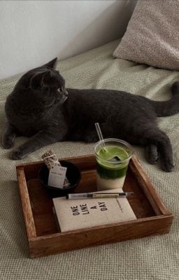 2cs › dư sinh › edit