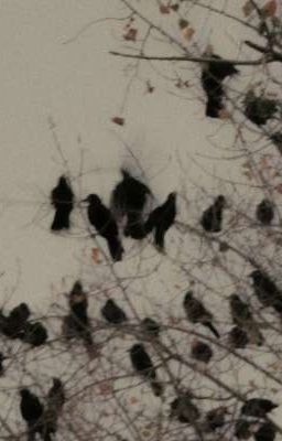 •2cs-TauLeo• Phía sau song sắt 