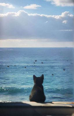 2min | when the world is too small