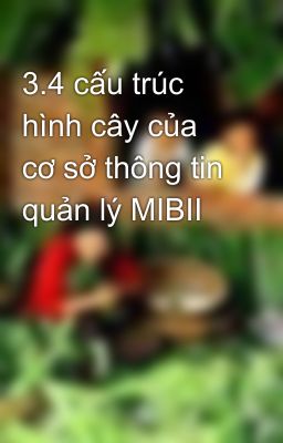 3.4 cấu trúc hình cây của cơ sở thông tin quản lý MIBII