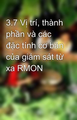 3.7 Vị trí, thành phần và các đặc tính cơ bản của giám sát từ xa RMON