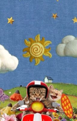 [3316/lestappen] - gps