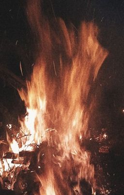 [ 3363 | Russtappen ] fire