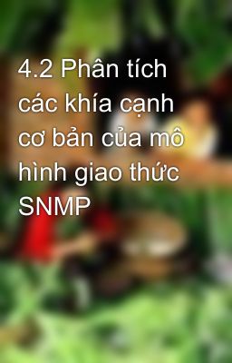 4.2 Phân tích các khía cạnh cơ bản của mô hình giao thức SNMP