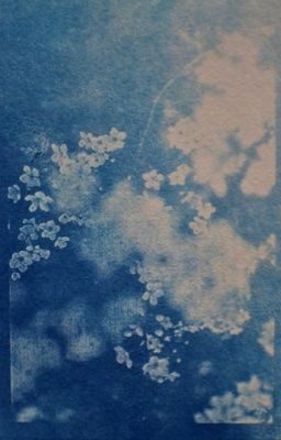 5499 | vỡ tan