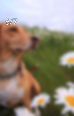 6/7