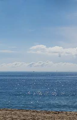 6789 • Gió Trong Tâm Bão