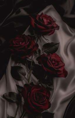 [9992] ~• chạm •~