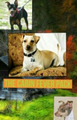 A Better Dog RP