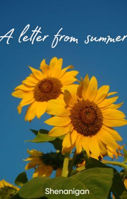 A letter from summer