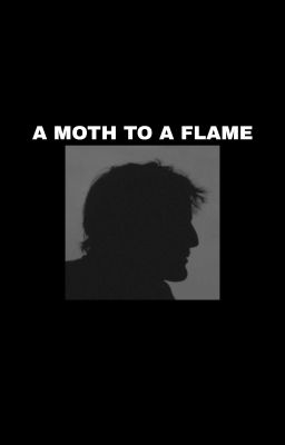 A Moth to a Flame (JoelMillerxReader)