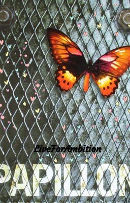 A Papillon (Butterfly)
