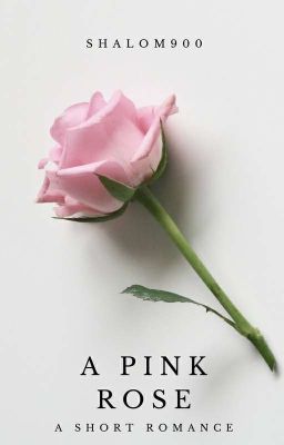 A Pink Rose ✔