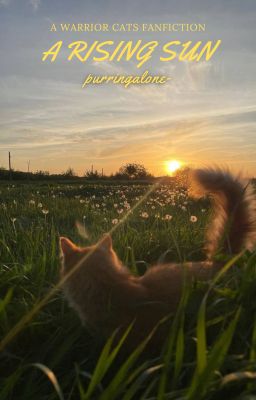 A Rising Sun