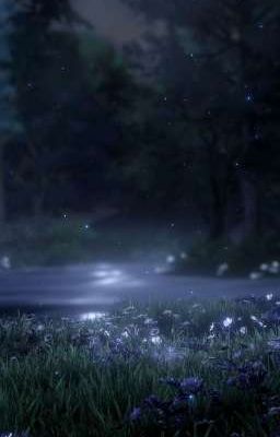 [ABO/ZSWW] Danh Phận