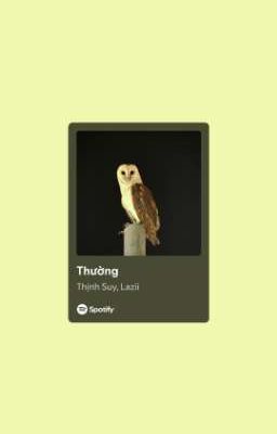 Acmd - Thường