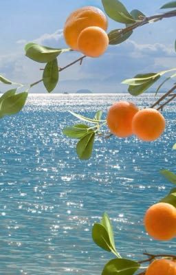 AD-Jung có tình cảm, đồng đội có niềm tin