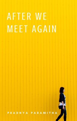 AFTER WE MEET AGAIN - SEGERA TERBIT - DIHAPUS SEBAGIAN