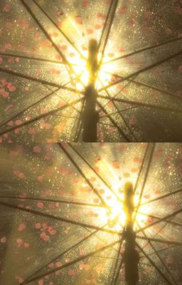 [AKAM] Thủy triều thái dương