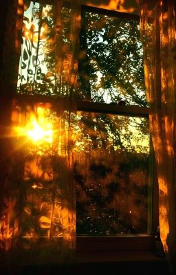 [AKAM] Until the last day