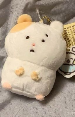 ★. all abt christrick ☆.