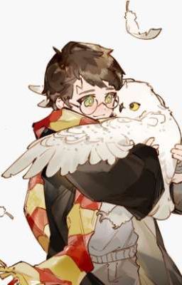 [All× Harry Potter]