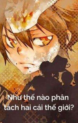 【All27/KHR×Conan/Xem ảnh】 Như thế nào phân tách hai cái thế giới?