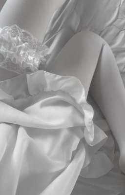 allbray : Truyện seg