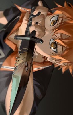 [AllHinata] Cuộc Sống Yên Ổn Của Thợ Săn Bị Phá Vỡ