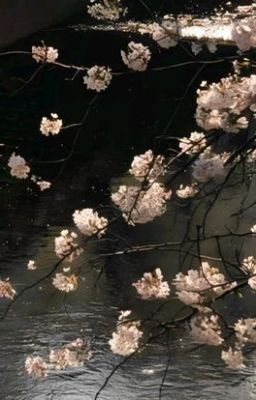 [Allisagi] Quỷ Dữ