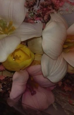 |AllJames| Bạn học