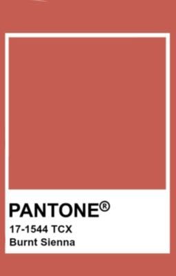 alljames✮⋆˙burnt sienna.