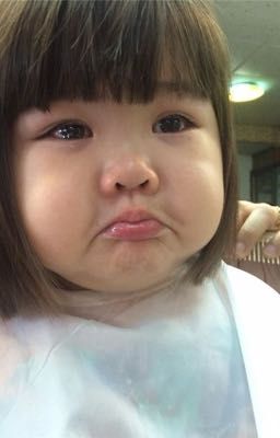 [alljames] hoa sữa