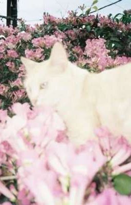 [AllJames] wait for me