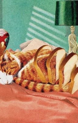 | AllJames | Yêu ơi