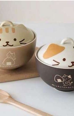Allker | Mèo xinh đã vòi được bát mới chưa?